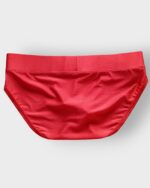 219 Brief Metalizado Add Licrado - Imagen 5