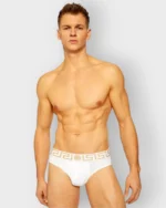 801 Brief 100% Algodon Vers