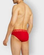 801 Brief 100% Algodon Vers - Imagen 24