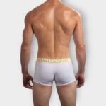 801 Boxer Algodón Vers - Imagen 5