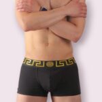 801 Boxer Algodón Vers