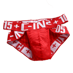 553 Brief Transparencia c5