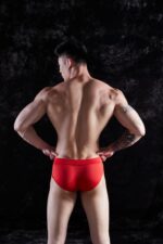 851 Brief Licrado - Imagen 8