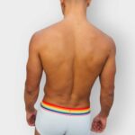 602 Boxer Seobean Pride Algodon - Imagen 8