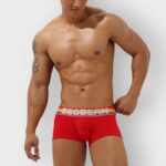 602 Boxer Seobean Pride Algodon - Imagen 4