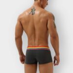 602 Boxer Seobean Pride Algodon - Imagen 3