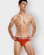 608 Brief Seobean 100% Algodon - Imagen 26