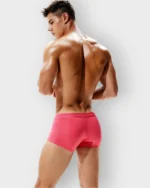 650 Boxer Seobean Licrado - Imagen 15