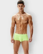 650 Boxer Seobean Licrado - Imagen 13