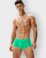 650 Boxer Seobean Licrado - Imagen 9