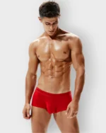 650 Boxer Seobean Licrado - Imagen 7