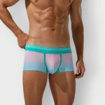 683 Boxer Seobean Licrado difuminado