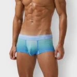 683 Boxer Seobean Licrado difuminado - Imagen 12