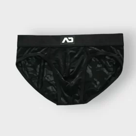 231 Brief add Transparencia